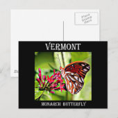 Carte Postale Papillon Monarque du Vermont (Devant / Derrière)