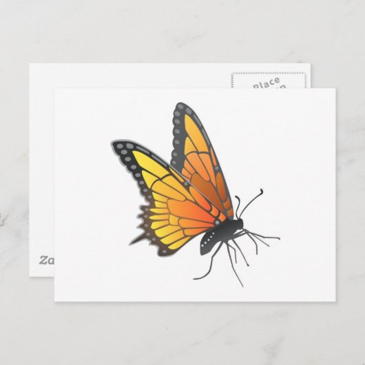 Carte Postale Papillon monarque en vol (Devant / Derrière)