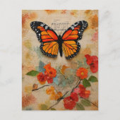 Carte Postale Papillon Monarque Mixte (Devant)
