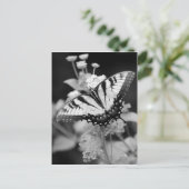 Carte postale Papillon Monarque Noir & Blanc (Debout devant)