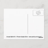 Carte postale Papillon Monarque orange (Dos)