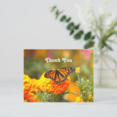 Carte Postale Papillon Monarque Orange Marigold Photo Merci (Debout devant)