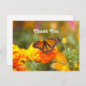 Carte Postale Papillon Monarque Orange Marigold Photo Merci (Devant / Derrière)