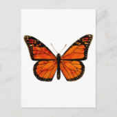 Carte Postale Papillon monarque Petit (Devant)