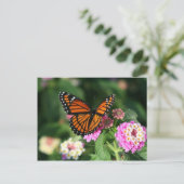 Carte Postale Papillon Monarque sur Fleur Lantana (Debout devant)