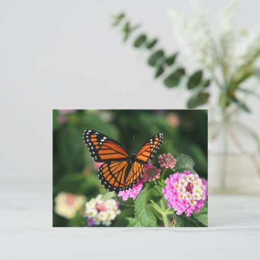Carte Postale Papillon Monarque sur Fleur Lantana (Debout devant)