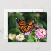 Carte Postale Papillon Monarque sur Fleur Lantana (Devant / Derrière)