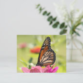 Carte Postale Papillon Monarque sur Fleur Rose (Debout devant)