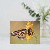 Carte Postale Papillon monarque sur tournesol (Debout devant)