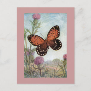 Carte postale Papillon Monarque sur Trèfle Violet