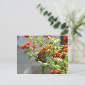 Carte Postale Papillon Monarque sur un Buddleia Rouge (Debout devant)