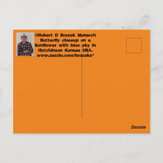 Carte Postale Papillon monarque sur un closeuse de tournesol (Dos)