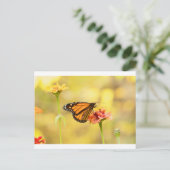 Carte Postale Papillon Monarque sur Zinnia (Debout devant)