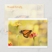 Carte Postale Papillon Monarque sur Zinnia (Devant / Derrière)