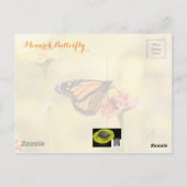 Carte Postale Papillon Monarque sur Zinnia (Dos)