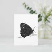 Carte Postale Papillon monochrome (Debout devant)