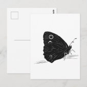 Carte Postale Papillon monochrome (Devant / Derrière)