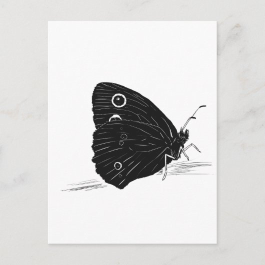 Carte Postale Papillon monochrome (Devant)