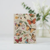 Carte Postale Papillon Moth Nature Collection Dessin (Debout devant)