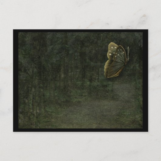 Carte postale Papillon noir (Devant)