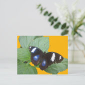 Carte Postale Papillon noir, bleu blanc tacheté do-it-yourself c (Debout devant)