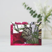 Carte Postale Papillon noir et blanc (Debout devant)