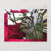 Carte Postale Papillon noir et blanc (Devant)