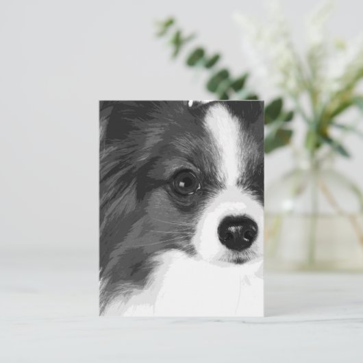 Carte Postale Papillon noir et blanc (Debout devant)