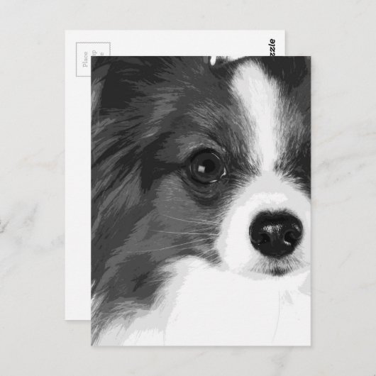 Carte Postale Papillon noir et blanc (Devant / Derrière)