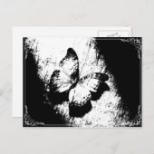 Carte Postale Papillon noir et blanc (Devant / Derrière)