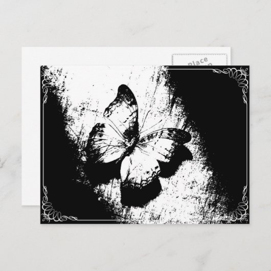 Carte Postale Papillon noir et blanc (Devant / Derrière)