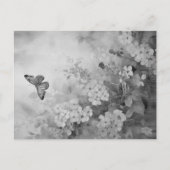 Carte Postale Papillon noir et blanc (Devant)
