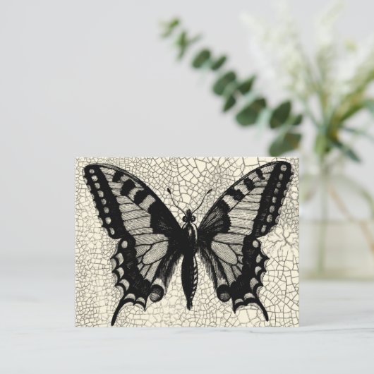 Carte Postale Papillon noir et blanc sur Arrière - plan fissuré (Debout devant)