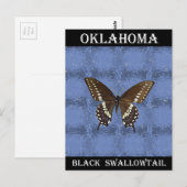 Carte Postale Papillon noir Swallowtail Oklahoma (Devant / Derrière)