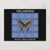 Carte Postale Papillon noir Swallowtail Oklahoma (Devant)