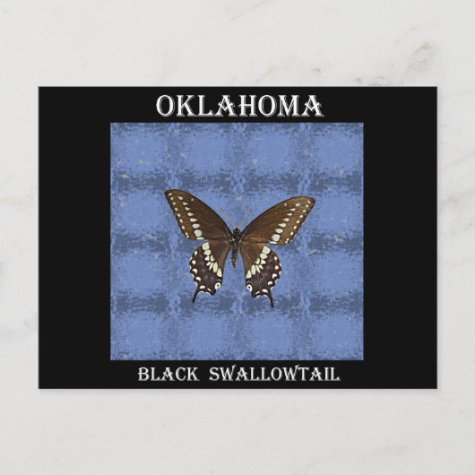 Carte Postale Papillon noir Swallowtail Oklahoma (Devant)