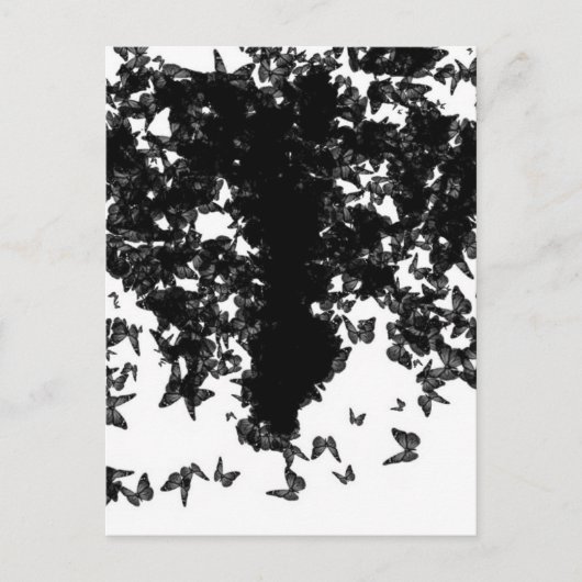 Carte Postale papillon noir yaie swallowtail (Devant)