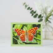 Carte Postale Papillon orange (Debout devant)