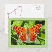 Carte Postale Papillon orange (Devant / Derrière)