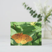 Carte postale Papillon orange (Debout devant)