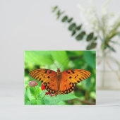 Carte postale Papillon orange (Debout devant)