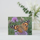 Carte postale Papillon orange (Debout devant)