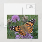 Carte postale Papillon orange (Devant / Derrière)