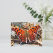 Carte Postale Papillon orange (Debout devant)