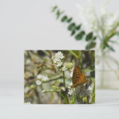 Carte Postale Papillon orange et abeille (Debout devant)