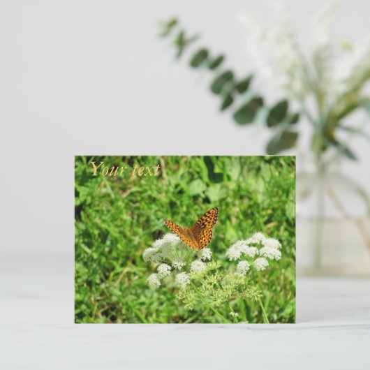 Carte Postale Papillon orange et noir (Debout devant)