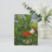 Carte Postale Papillon orange et noir au lac (Debout devant)