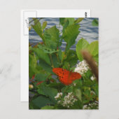 Carte Postale Papillon orange et noir au lac (Devant / Derrière)