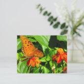 Carte Postale Papillon orange - Fermer (Debout devant)