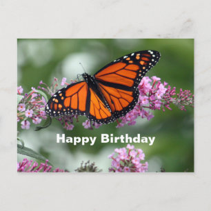Carte Postale Papillon Orange Monarque Fleur Photo Anniversaire